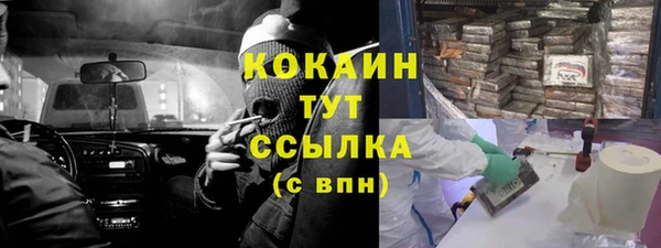 твердый Володарск