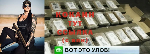 твердый Володарск