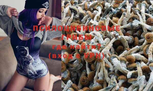 бошки Волосово