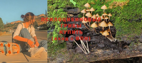 твердый Володарск