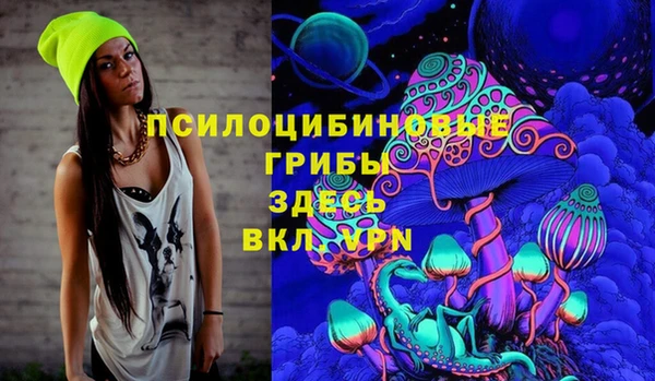 бошки Волосово