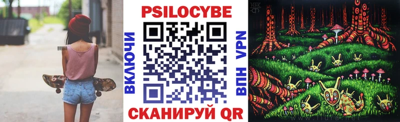 Галлюциногенные грибы GOLDEN TEACHER  как найти наркотики  Александровское 