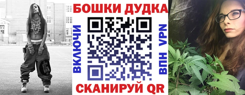 закладки  Александровское  Каннабис индика 